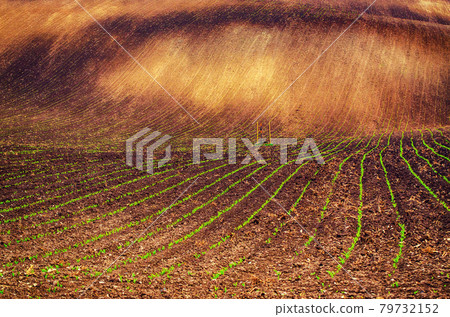 Earthy abstract background Earthy abstract background 79732152