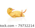duckling fell on his back 79732214