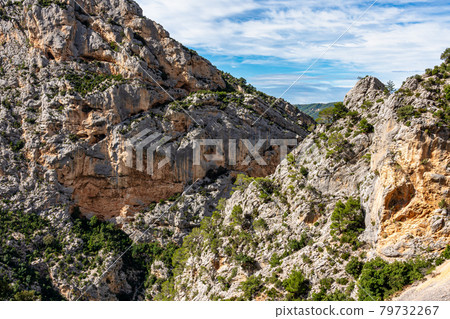 Verdon Gorge, Gorges du Verdon in French Alps, Provence, France 79732267