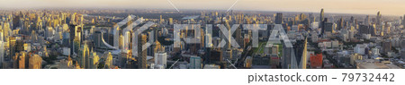 Bangkok city panorama Bangkok city panorama 79732442