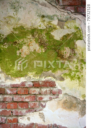 磚牆 79732528