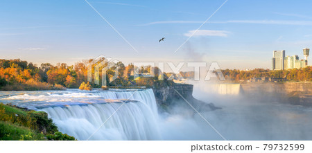 Niagara falls 79732599
