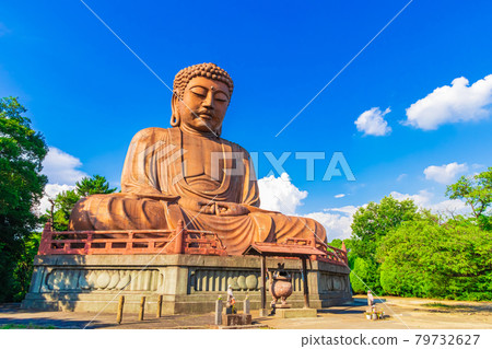 公園內的大佛珠樂園大佛<愛知縣東海市> 公園內的大佛珠樂園大佛<愛知縣東海市> 79732627