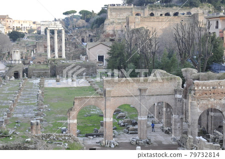 Italy, Rome, Roman Forum Italy, Rome, Roman Forum 79732814