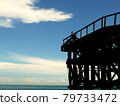 Iron bridge overlooking the sea 79733472