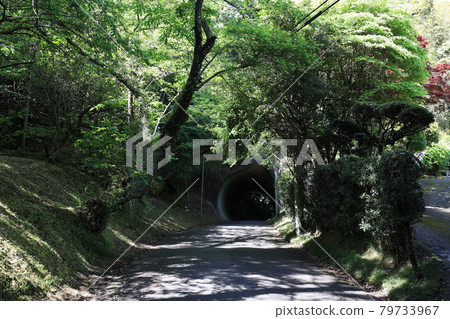 一條隧道 79733967