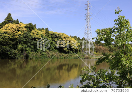 Idyllic scenery Idyllic scenery 79733993