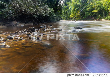 Scenic nature view of Tahan River with lush rainforest foliage at Taman Negara National Park, Pahang 79734544