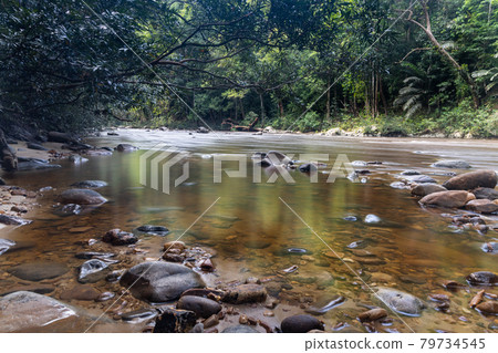 Scenic nature view of Tahan River with lush rainforest foliage at Taman Negara National Park, Pahang 79734545