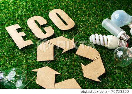 Eco energy saving light bulbs on grass background 79735290