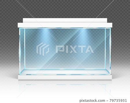 Aquarium glass box, terrarium with backlight. 79735931
