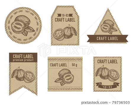 Craft labels vintage design with illustration of guava Craft labels vintage design with illustration of guava 79736503