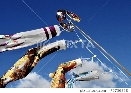 Carp streamer fluttering in the blue sky Carp streamer fluttering in the blue sky 79736828