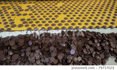 The production of chocolate chip cookies at the factory. Round chocolate chip cookies in production. Chocolate chip cookies on a conveyor belt. 79737028