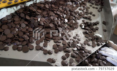The production of chocolate chip cookies at the factory. Round chocolate chip cookies in production. Chocolate chip cookies on a conveyor belt. 79737029