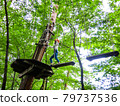 在樹上運動 79737536