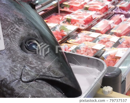 鮪魚店~鮪魚拆解 鮪魚店~鮪魚拆解 79737537