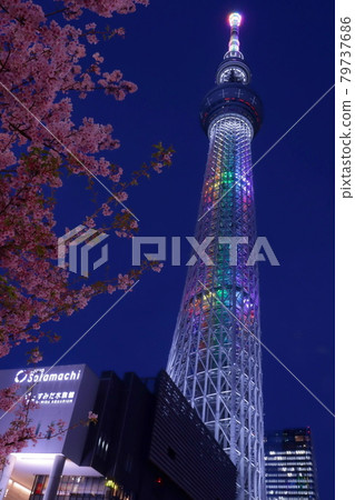 Tokyo Sky Tree and cherry blossoms at night ② Tokyo Sky Tree and cherry blossoms at night ② 79737686