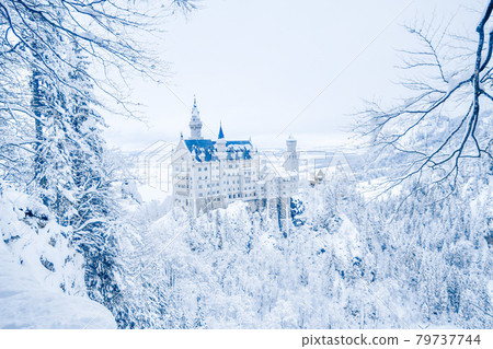 Neuschwanstein Castle in Germany Neuschwanstein Castle in Germany 79737744