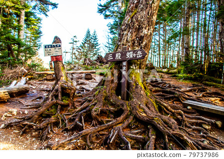 Northern Alps Chogatake / Mountain Trail Northern Alps Chogatake / Mountain Trail 79737986