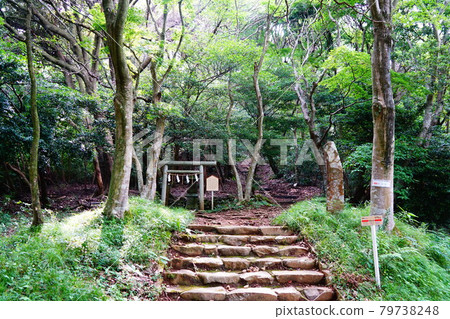 熱海伊豆山神社 穿過夢命神本部到達本宮 熱海伊豆山神社 穿過夢命神本部到達本宮 79738248