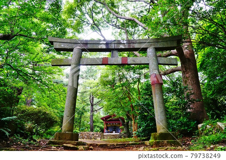 鳥居到熱海伊豆山神社本宮神社 鳥居到熱海伊豆山神社本宮神社 79738249