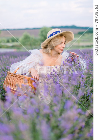 Pretty mature lady in stylish hat and dress, crouching and enjoying the scent of flowering lavender Pretty mature lady in stylish hat and dress, crouching and enjoying the scent of flowering lavender 79738363