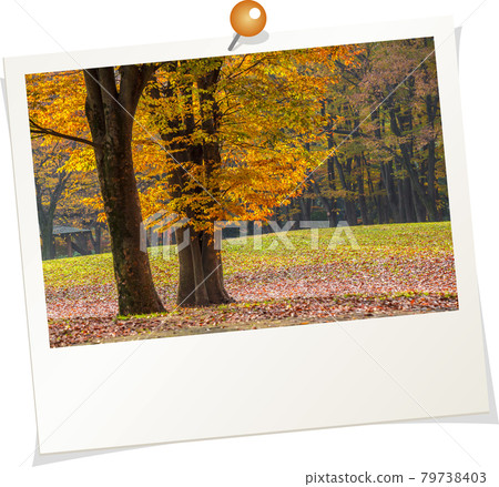 Polaroid style photo, autumn leaves in Meijo Park, Nagoya City, Aichi Prefecture 79738403