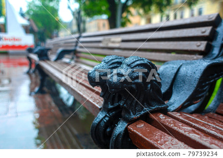 Stylish shop in the park of the city of Lviv. Sivol of the city lions on the armrests Stylish shop in the park of the city of Lviv. Sivol of the city lions on the armrests 79739234