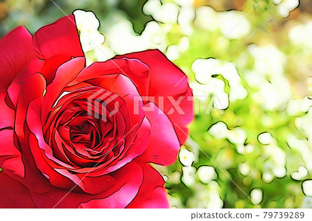 Pastel style "rose flower" illustration image Pastel style "rose flower" illustration image 79739289