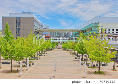 九州大學伊東校區中心區 79739338