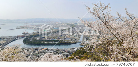 從高津山展望台看櫻花和和歌山市 79740707