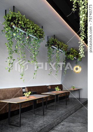 modern interior design with plants at restaurant in thailand 79740775
