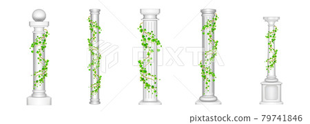 Ivy columns, antique pillars with climbing plant 79741846
