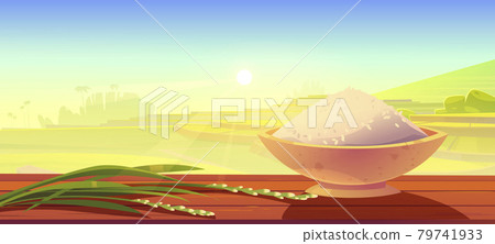 Sprouted rice and bowl with cereals heap on desk 79741933