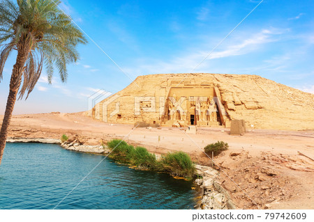 The palm on the bank of the Nile river in Abu Simbel Temple, Egypt 79742609