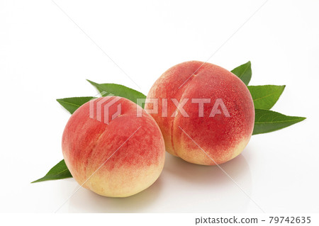 與葉子的白色背景桃子_水果在季節在夏天 與葉子的白色背景桃子_水果在季節在夏天 79742635