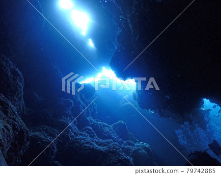 Mysterious undersea, Kerama Blue / Kerama Islands (Okinawa) 79742885