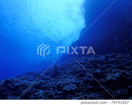 Mysterious underwater Kerama Blue / Kerama Islands (Okinawa) Tags Mysterious underwater Kerama Blue / Kerama Islands (Okinawa) Tags 79742887