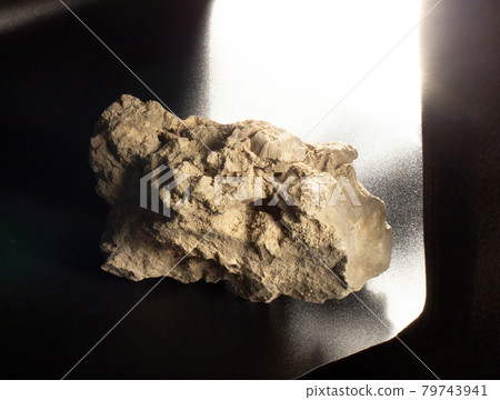 Dolomite mineral with a prehistoric shell from Vitebsk, Belarus. A stone on black background. For geology or minerology websites, stone collection catalog. 79743941