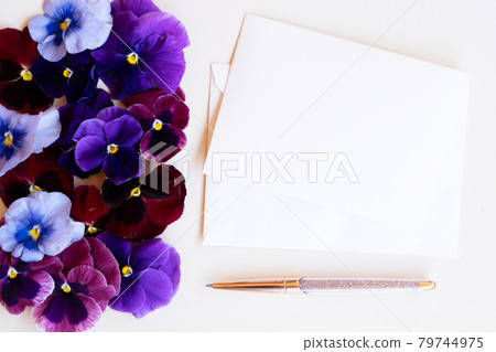 Pansy flowers styled stock scene 79744975