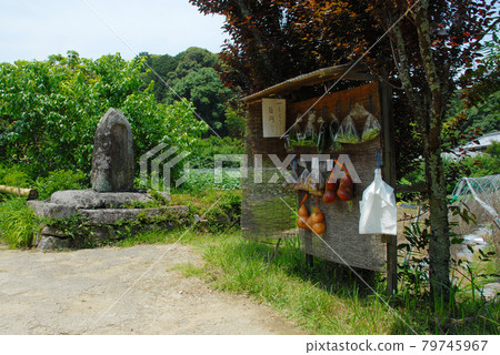 Joruri-ji Temple, an unmanned market on the approach to Kizugawa City, Kyoto Prefecture Joruri-ji Temple, an unmanned market on the approach to Kizugawa City, Kyoto Prefecture 79745967