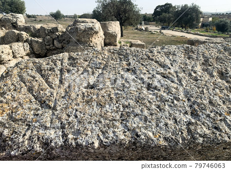 Images of the menorah in the ancient Jewish settlement of Susiya Images of the menorah in the ancient Jewish settlement of Susiya 79746063
