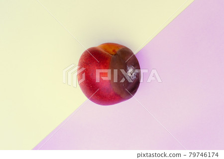 Spoiled food. Rotten nectarine on a colored background. Mold on food leftovers. Copy Space. Spoiled food. Rotten nectarine on a colored background. Mold on food leftovers. Copy Space. 79746174