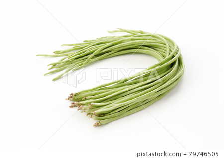 Juroku cowpea Juroku cowpea 79746505