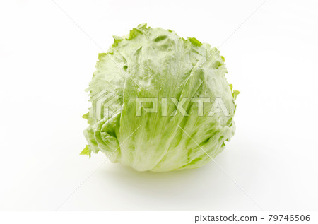 lettuce lettuce 79746506