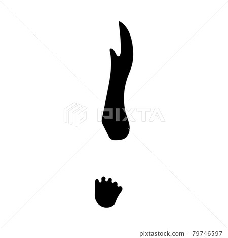 袋鼠腳印 79746597