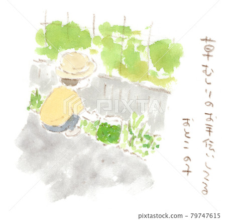 園藝:除草的水彩插圖 園藝:除草的水彩插圖 79747615