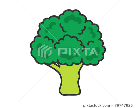 Broccoli illustration Broccoli illustration 79747926