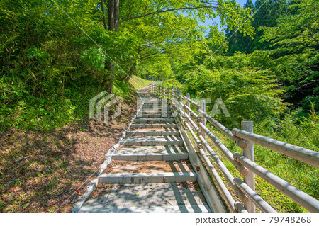 霧泉水庫 霧泉湖濱散步道 初夏週邊景色 79748268